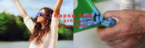 прущие грибы Богородицк