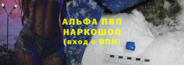 прущие грибы Богородицк
