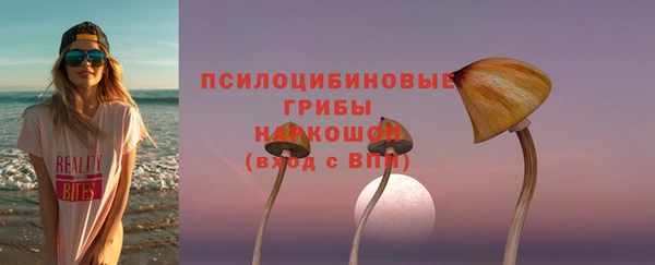 твердый Белокуриха