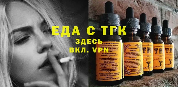 соль ск Тайга